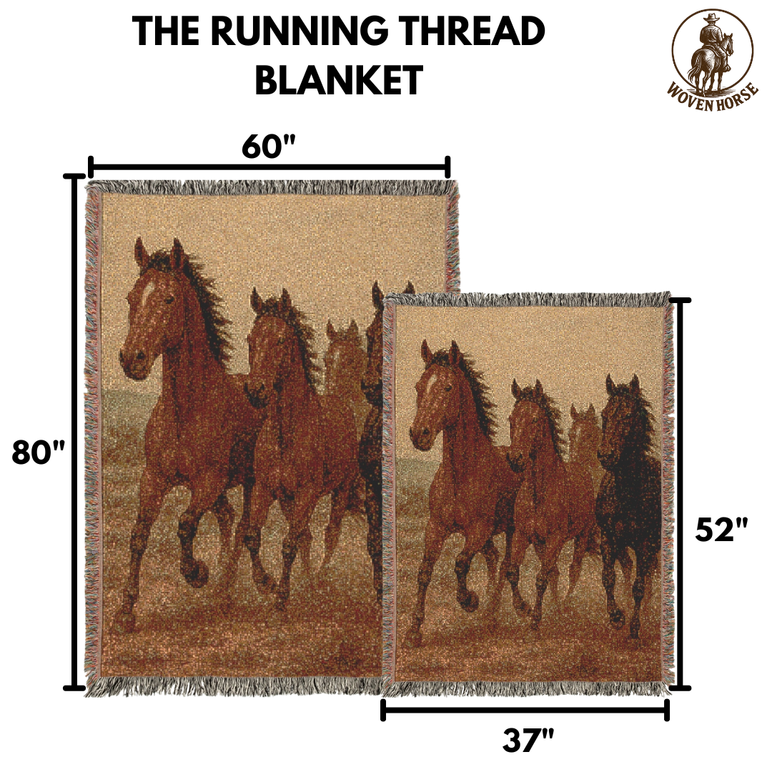 The Evening Ride Blanket!