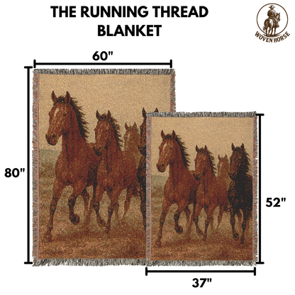 The Evening Ride Blanket!